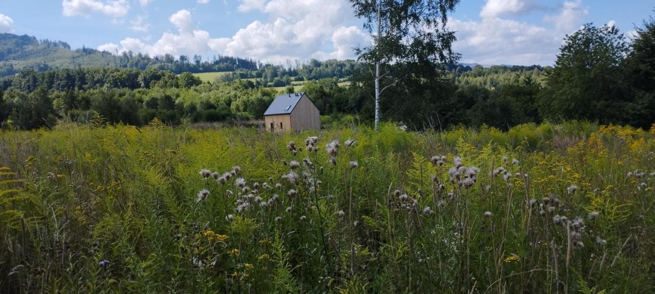Dom Wsrod Gwiazd Villa Jarnołtówek Dış mekan fotoğraf